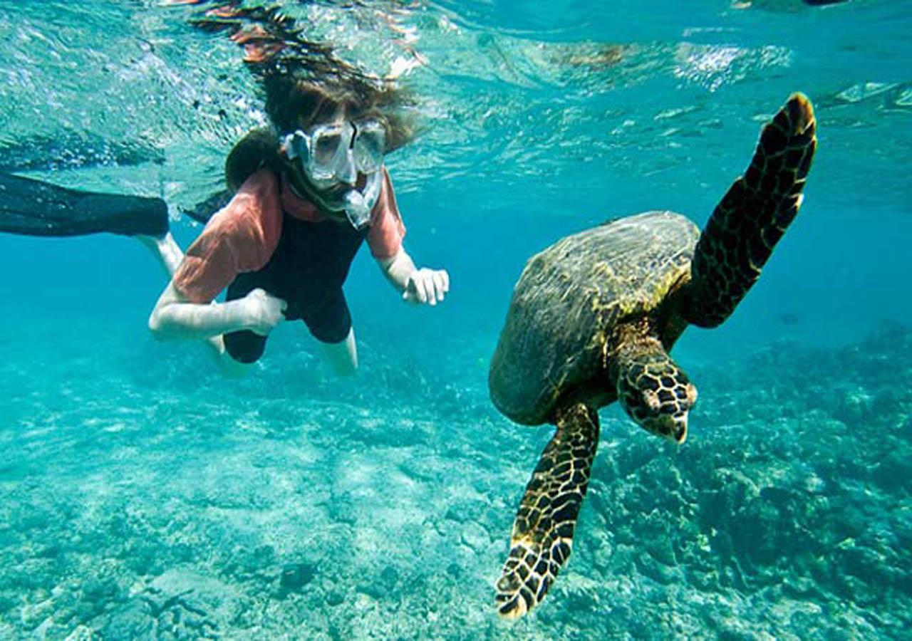 Sea Shine Beach Resort Mirissa Buitenkant foto